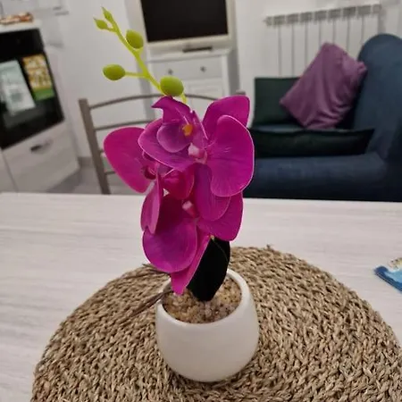Casa Clodia Holiday home Chioggia
